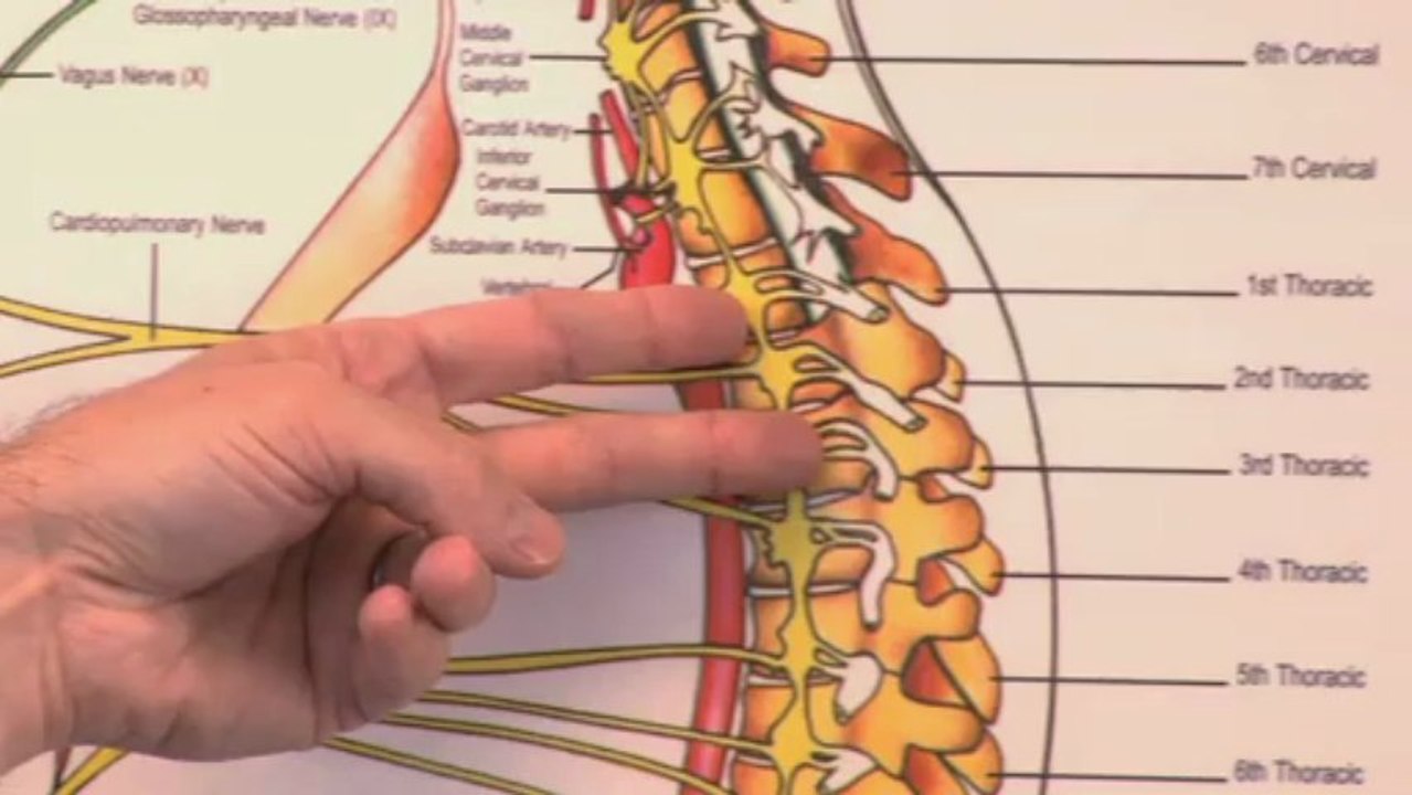 Video Campaign 7 you enjoy this video campaign. This is for testing and only for the developer.