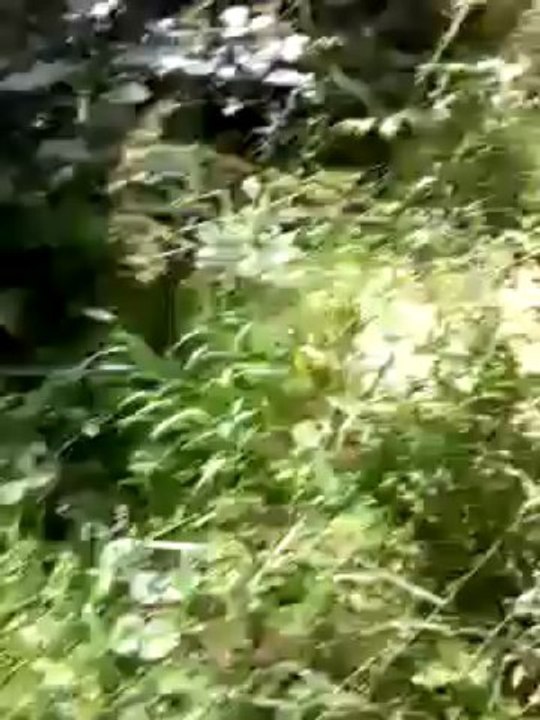 Funker540 , debut d'une partie d'airsofte :(