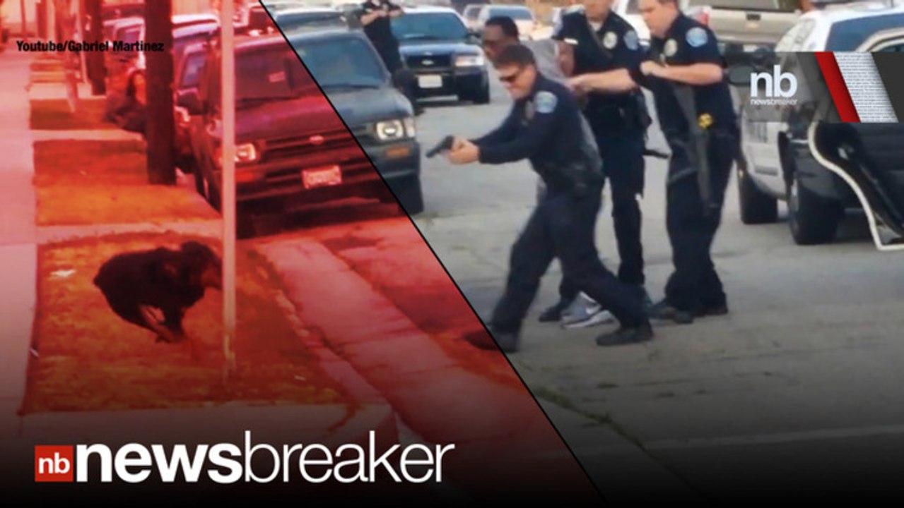 DOG GUNNED DOWN Horror as Police Shoot Suspect’s Dog in the Street