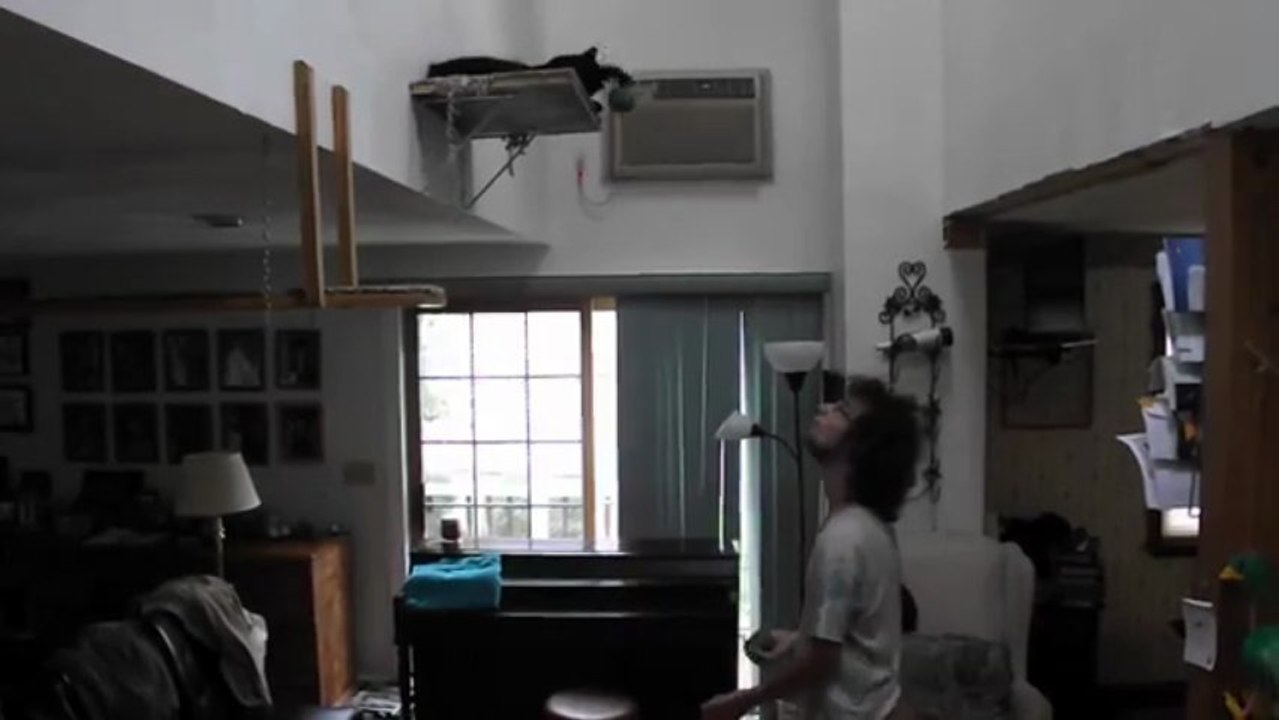 Un gars jongle avec son chat
