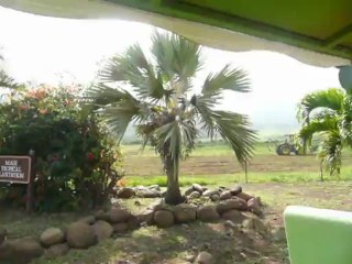 MAUI, HAWAII  2013 018