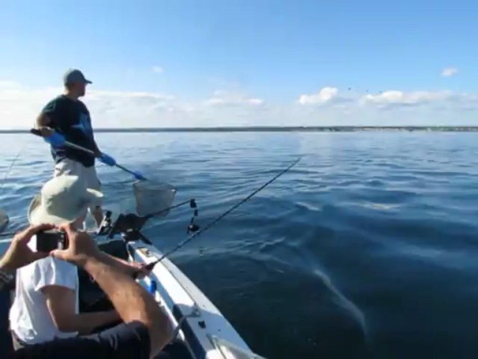Steelhead (9 lbs), Lake Ontario, 2013-06-30