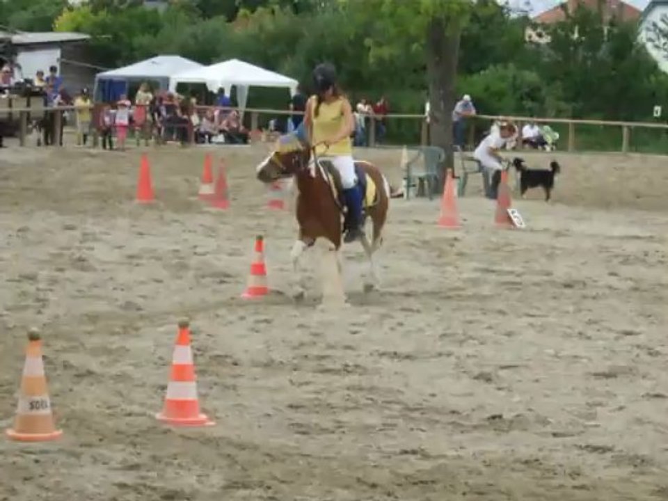 CI 2013_Equigames Vosich