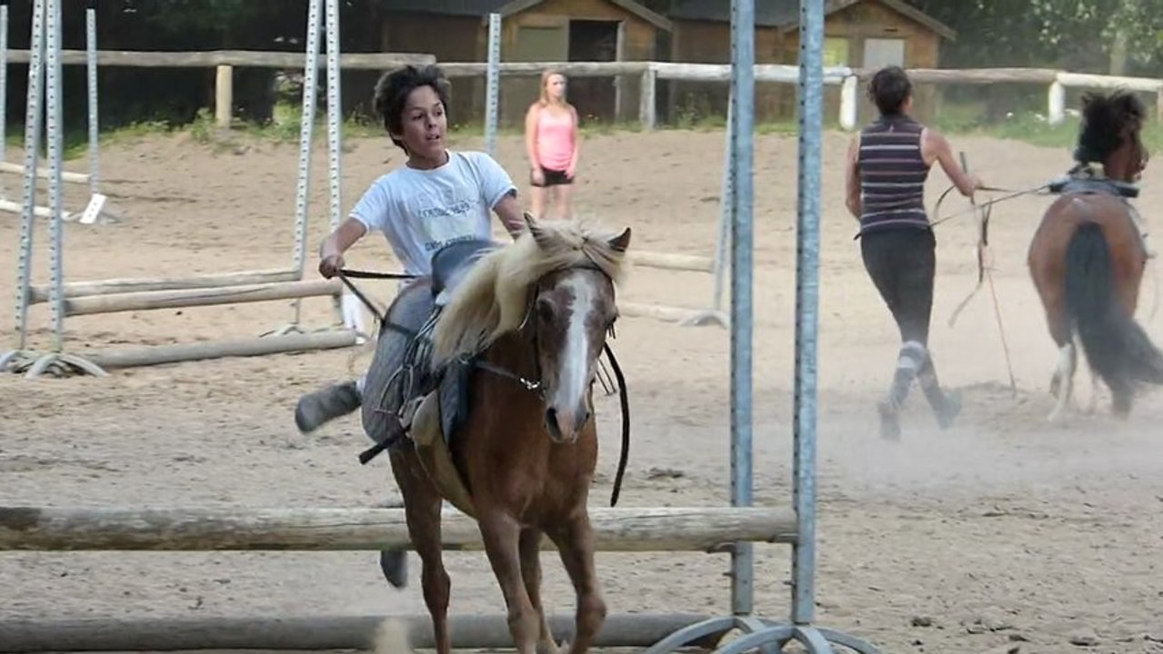 poney longues rênes course