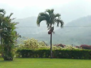 MAUI, HAWAII   2013 004