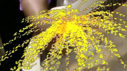 Soirée khmer bussy កេសរតន្រ្តី