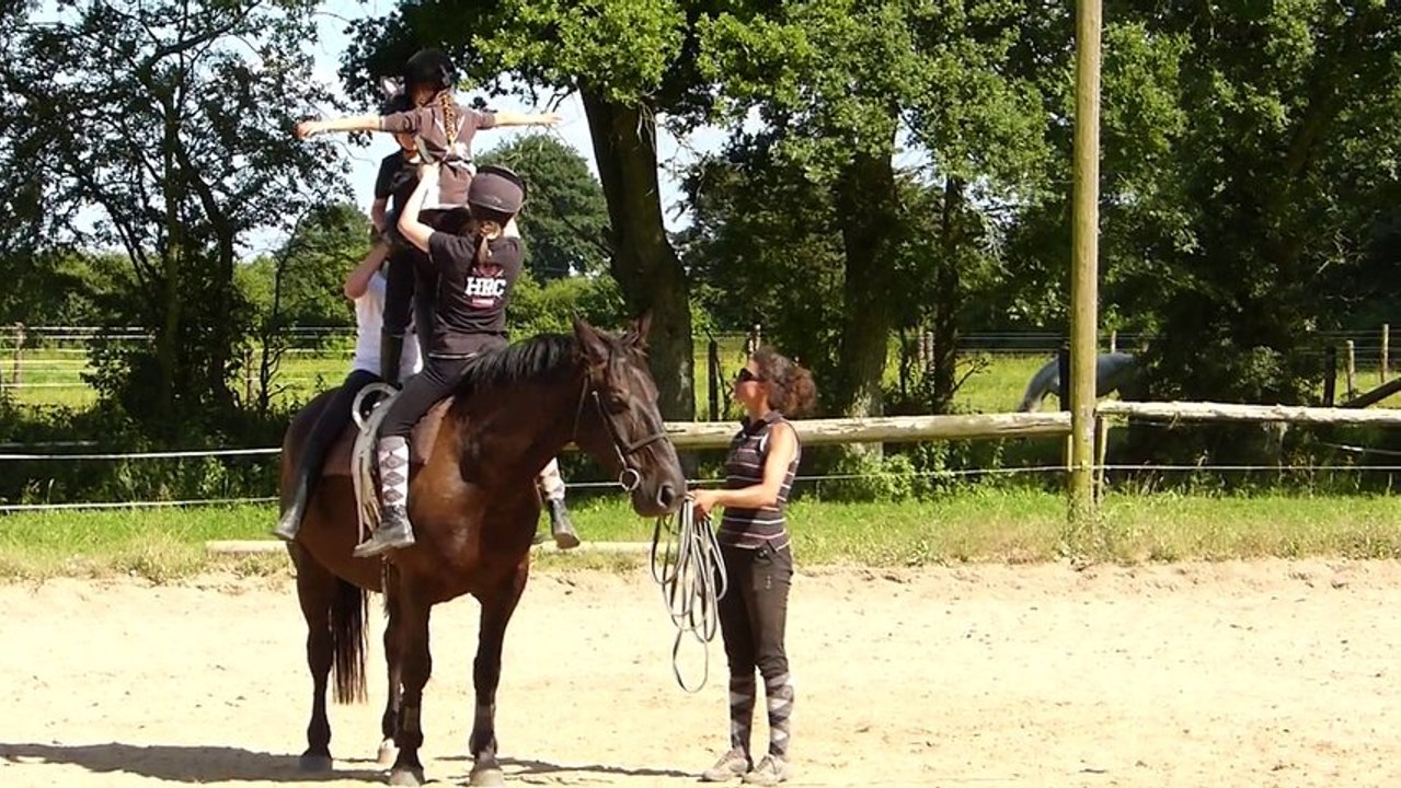 voltige 4