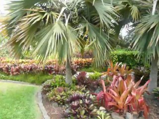 MAUI, HAWAII  2013 128