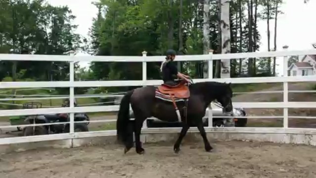 En amazone main droite - Chantal et Radja, 1ers pas dans les fourches au Haras Laurentien