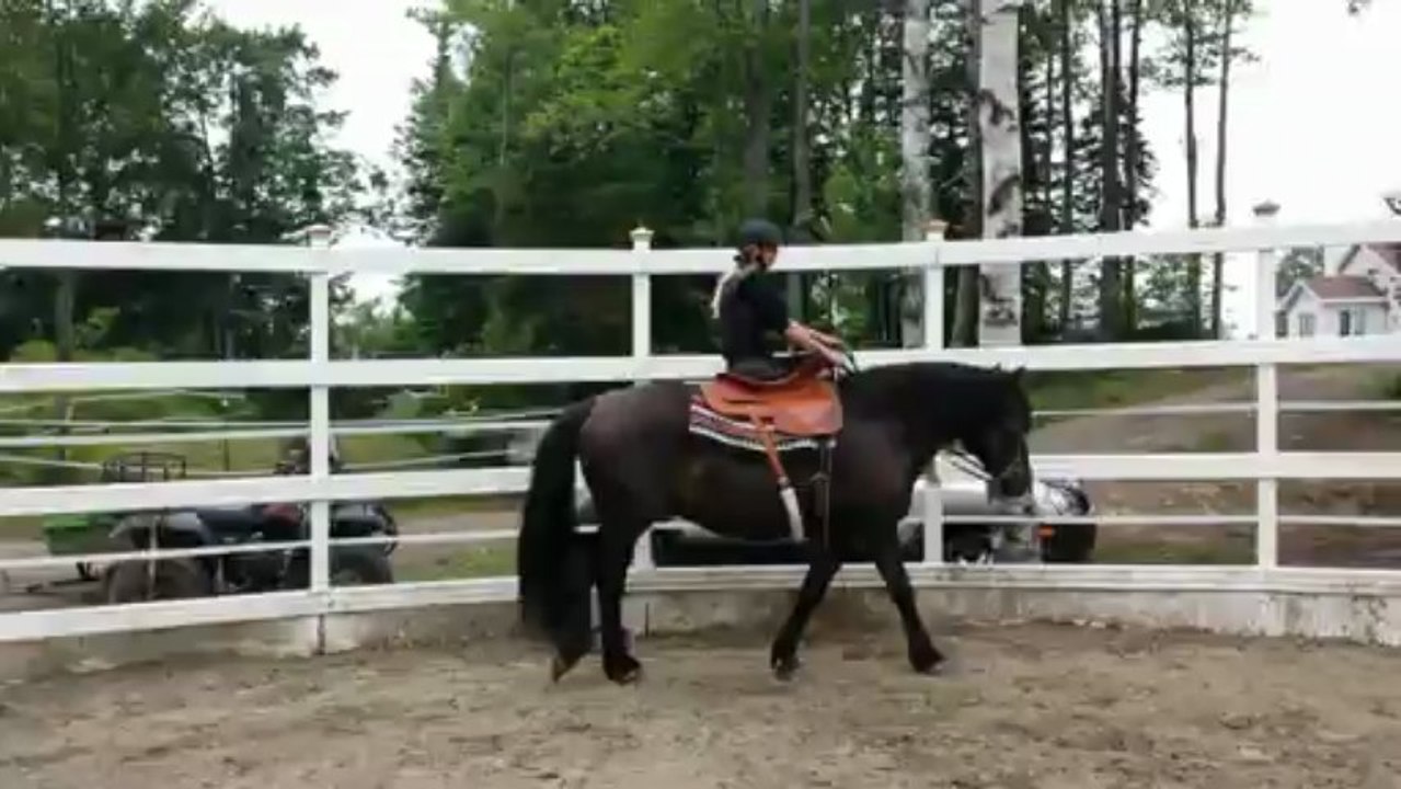 En amazone main droite - Chantal et Radja, 1ers...