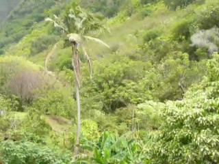 MAUI, HAWAII 2013  114