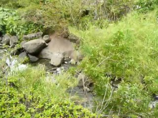 MAUI, HAWAII 2013  109
