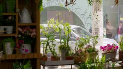 Sangue Bom Cap 55  - 02-07-13 -  Terça