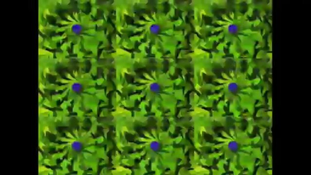 Para Janis Joplin - Tributo a Alejandra Pizarnik