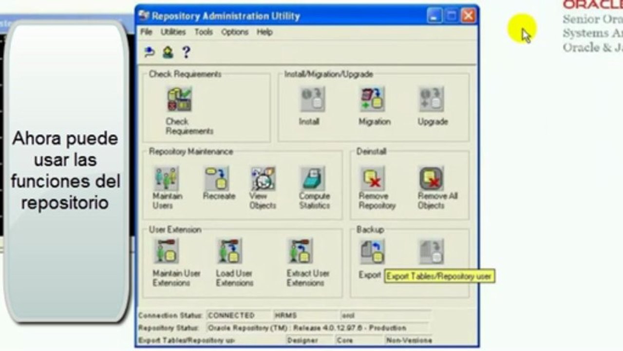 Oracel Designer + Developer suite