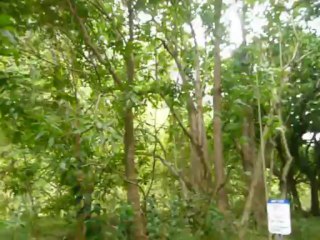 MAUI, HAWAII 2013  105