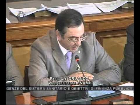 Roma - Tutela della salute - Audizione sindacati ed esperti del settore (02.07.13)