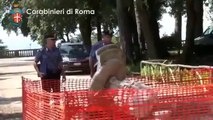 Frascati (Roma) - Danneggiata fontana Villa Torlonia. denunciati presunti responsabili (02.07.13)