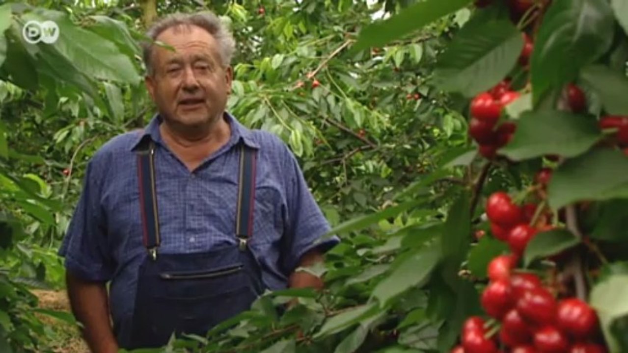 Black Forest Cake | Euromaxx a la carte