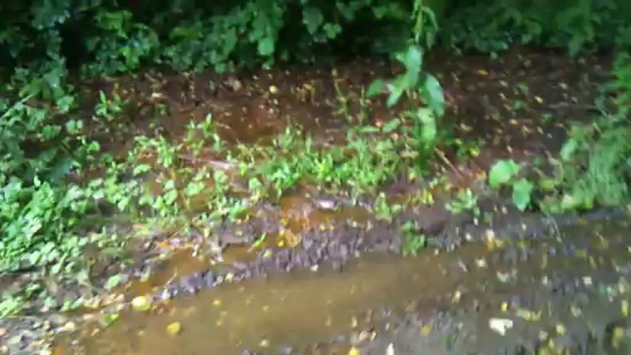 Pollution du Jour. Mercredi 03 juillet 2013.