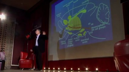 Jean-Pol Tassin: l'addiction vue de l'intérieur du cerveau