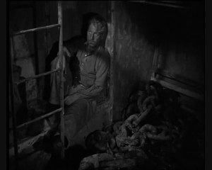 Au-delà des grilles ( extrait )