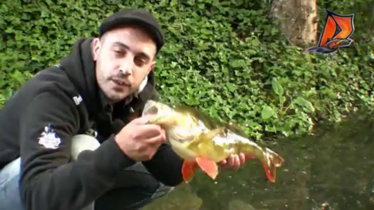Delalande nouvelle vidéo leurre souple - Swat Shad