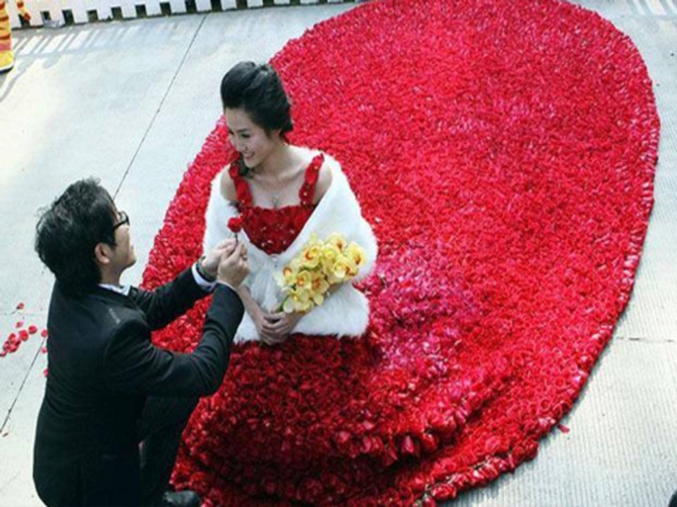 WOW- Man Proposes Girl With A Gown Made Up of 9,999 Roses