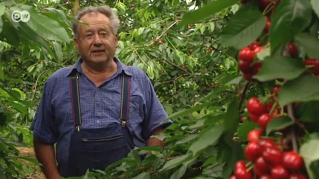 Schwarzwälder Kirschtorte | Euromaxx