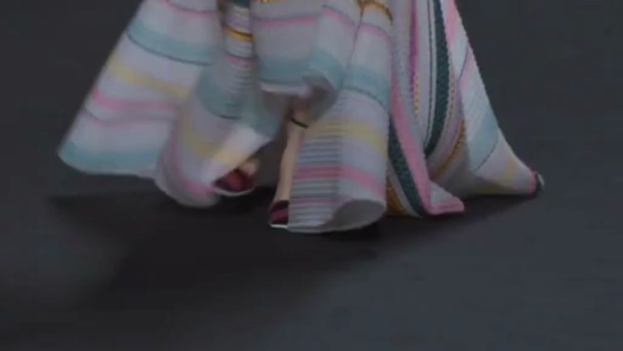 Christian Dior Haute Couture Fall/Winter 2013-2014 Collection