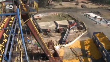 Eco-jugos en Sudáfrica | versión corta | Ideas globales