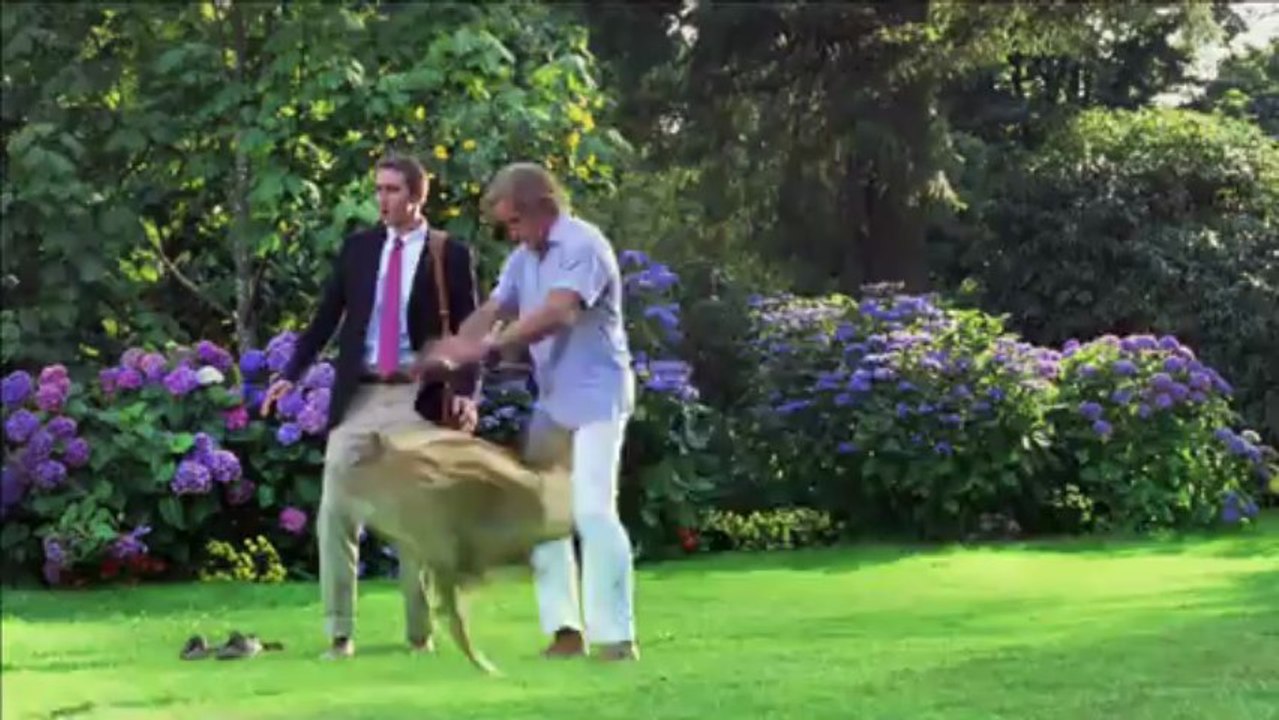 Marmaduke