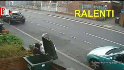 Le jeté de chat à la poubelle: un geste à 284 euros