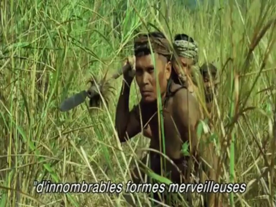 Création