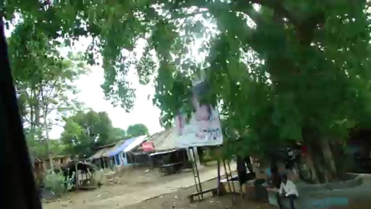 Ever decreasing Forest cover in Satpura range: Film by Pankaj Oudhia-115