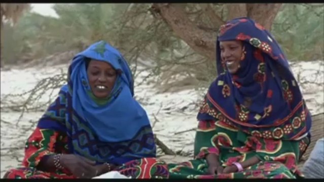 Vents de sable, femmes de roc