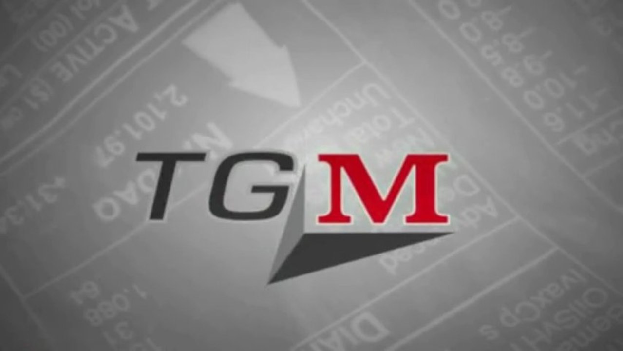 TGM del 2 luglio 2013