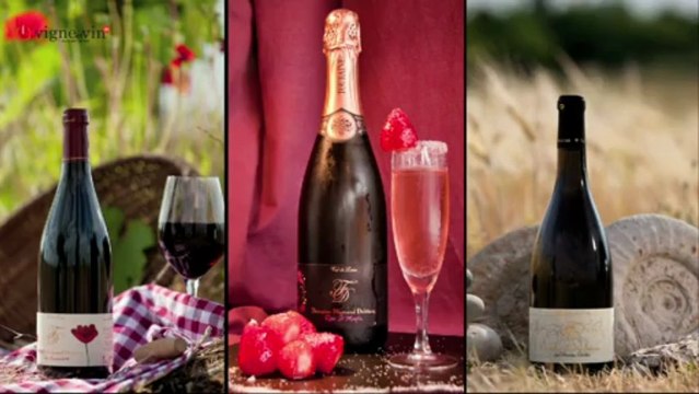 Terreetvigne.com by Jacques Legros au Domaine Flamand Delétang