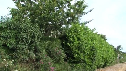 Voie de Liaison Nord : pose d'un mur anti-bruit