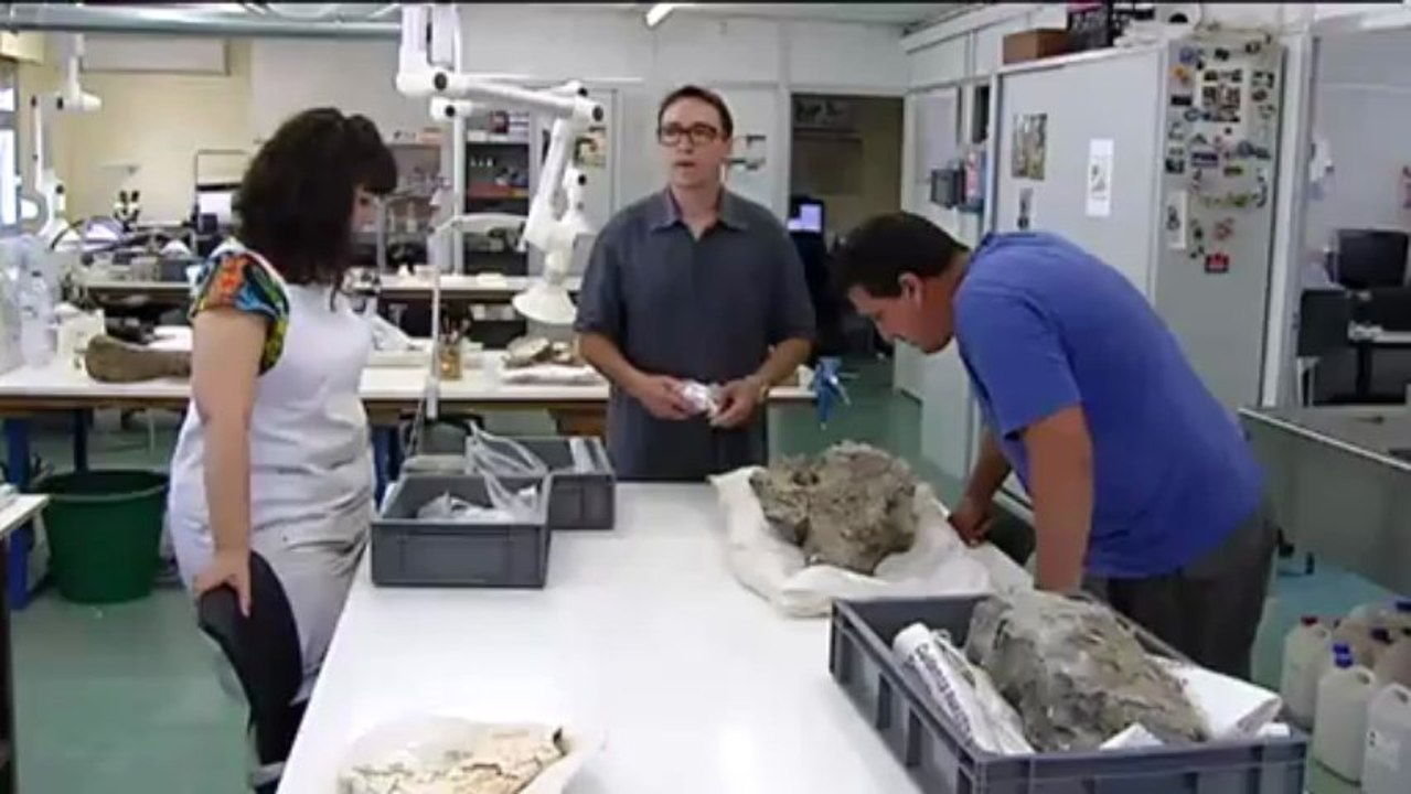 TV3 - Telenotícies migdia - Imatges del nadó de dinosaure que va ser robat