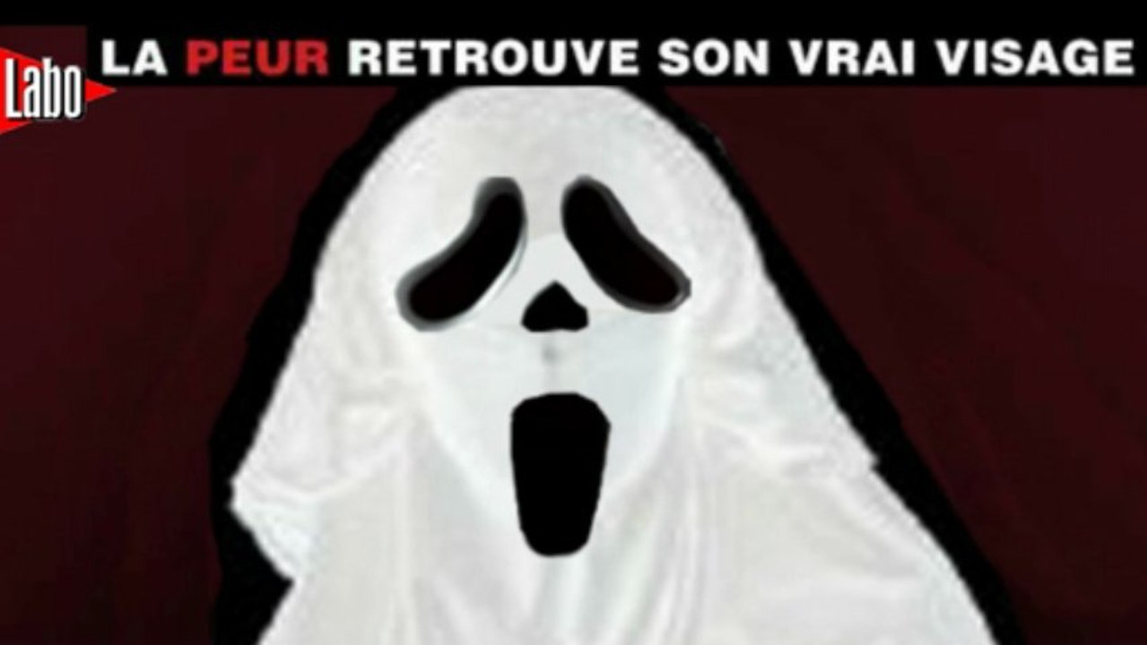 Scream Niqab 4