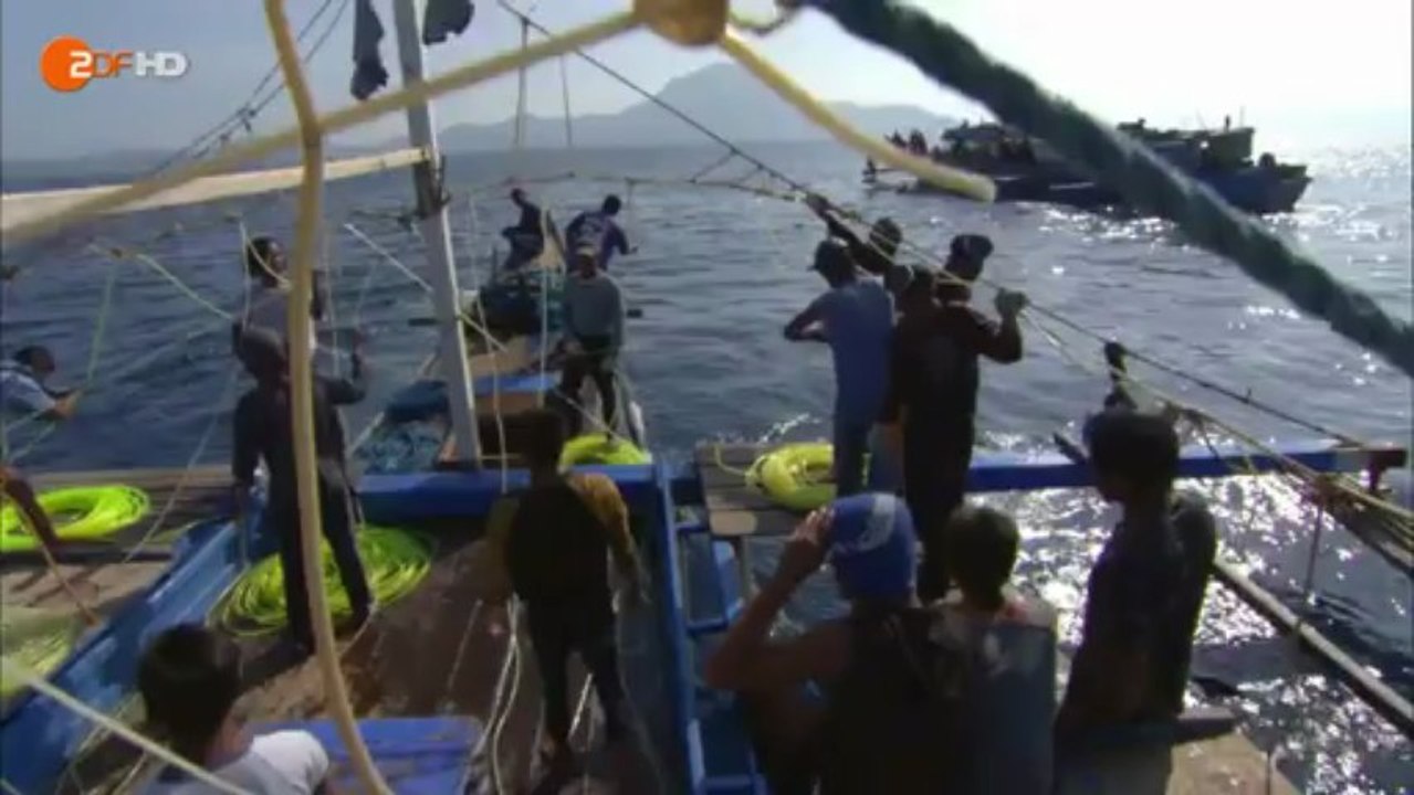 Terra X: 'Planet der Menschen: Leben am Wasser' - ZDF