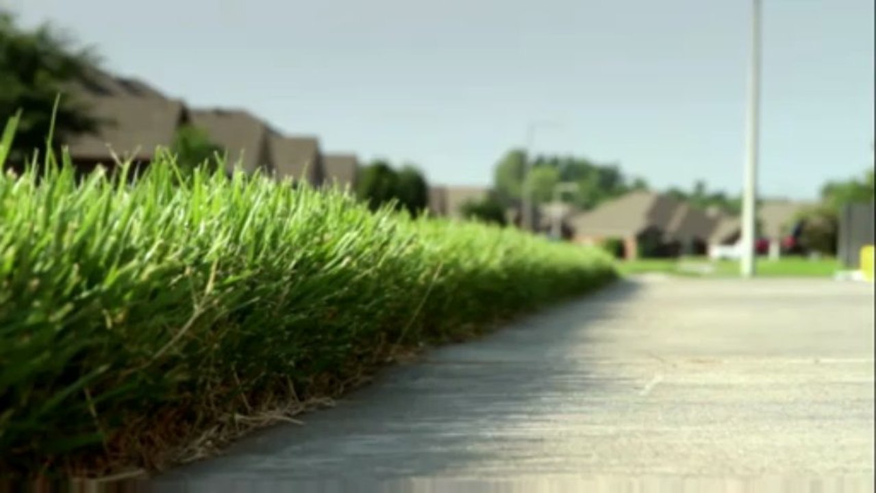 Honk (To stop executions)