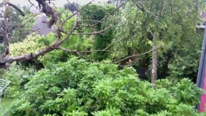 Presentation Marion Carpentier for Oliver Twist