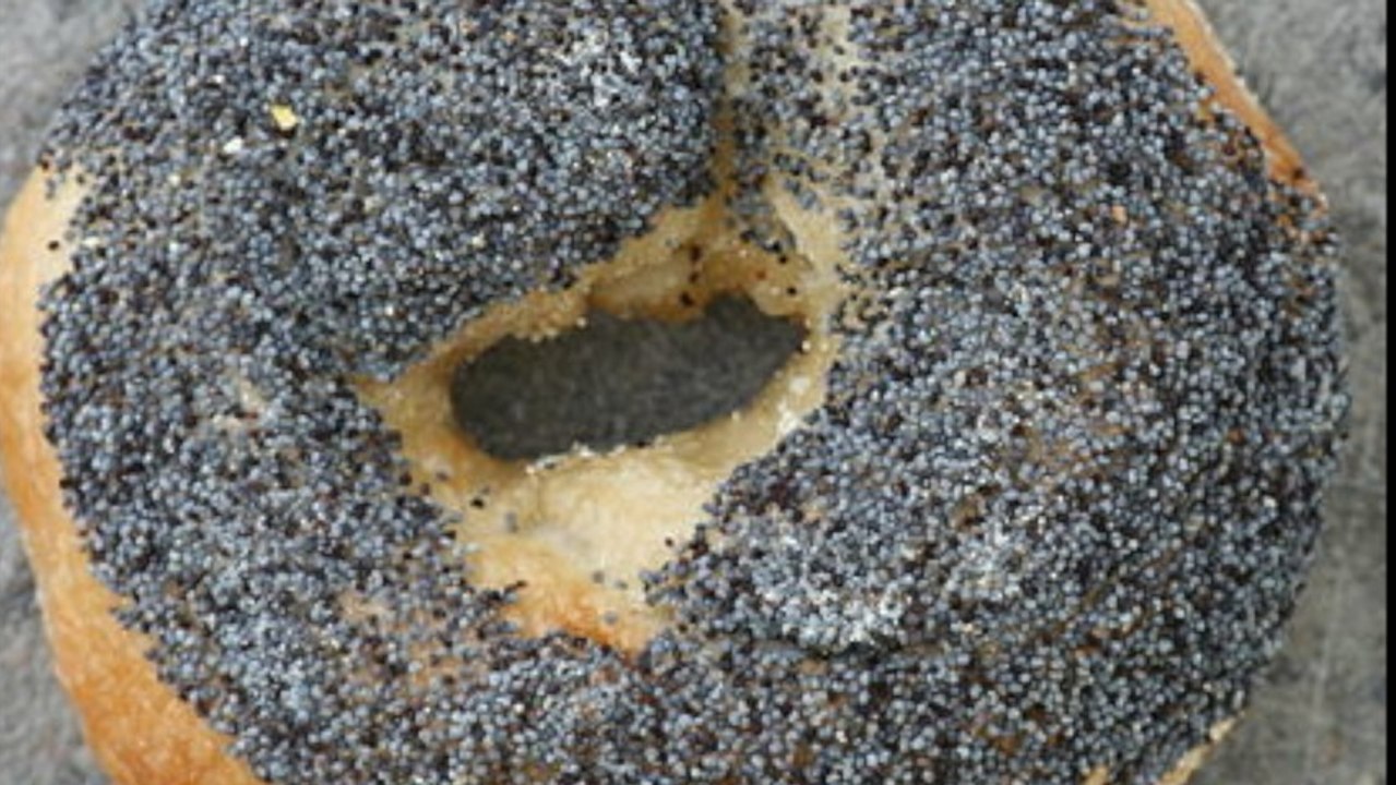 Poppy Seed Bagel Leads to Positive Drug Test and Successful Lawsuit