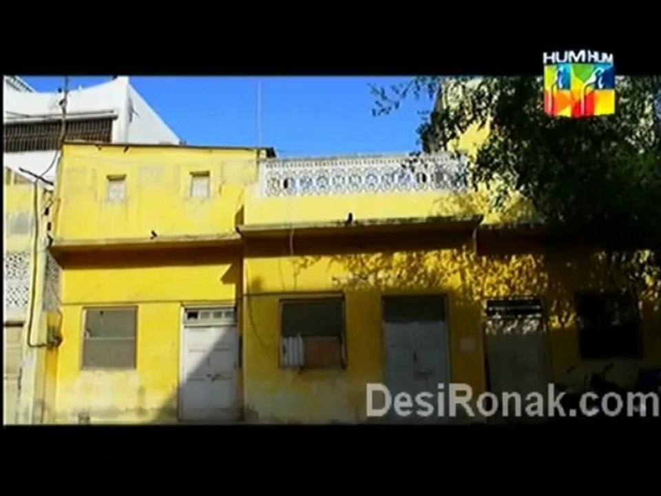 pagal 29 1