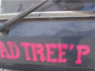 Road Tree'P - No Man's land entre le Maroc et la Mauritanie