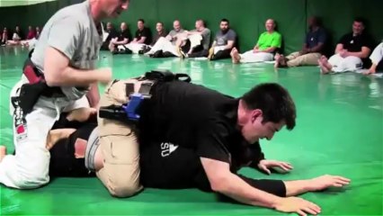2 Cops vs. 1 MMA Fighter