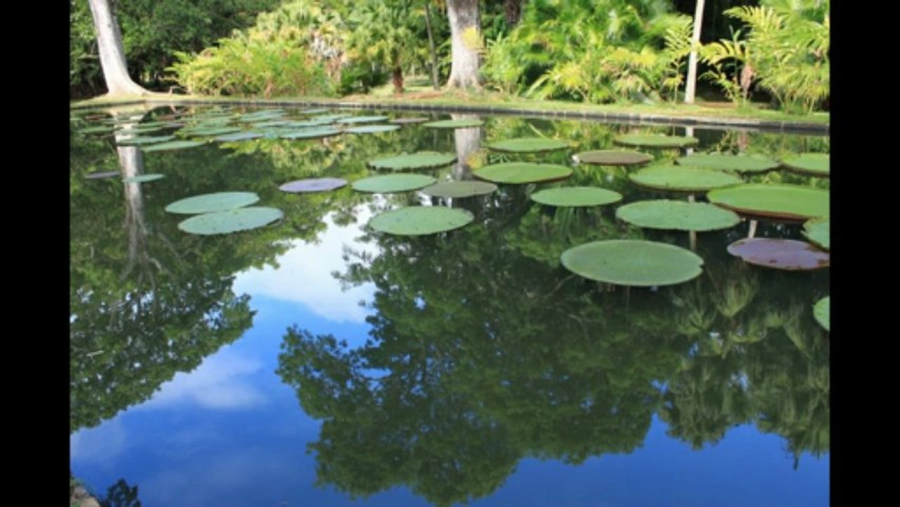 [Farztev.com] l'île Maurice