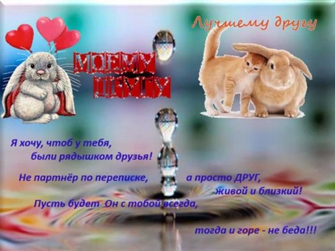 Друзьям с любовью